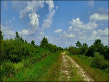 Mallory Swamp ATV Trail