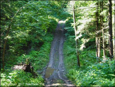 Example of terrain at Camden ATV Trail