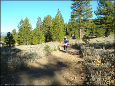 Honda CRF Dirtbike at Billy Hill OHV Route Trail