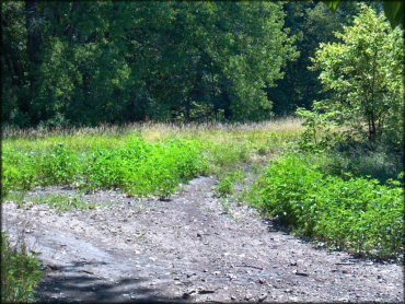 A trail at Council Grove Lake ORV Area Trail