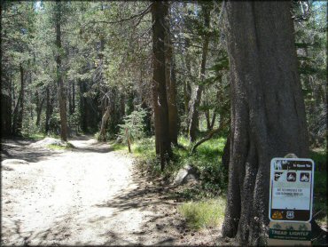 A trail at Lower Blue Lake Trail