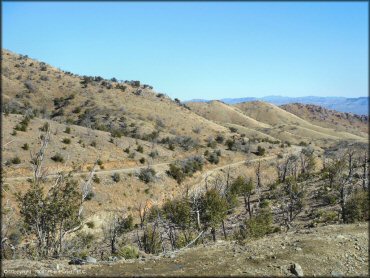 Scenic view of Mt. Lemmon Control Road Trail