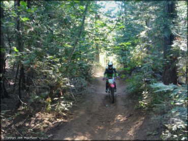 Honda CRF Trail Bike at Interface Recreation Trails