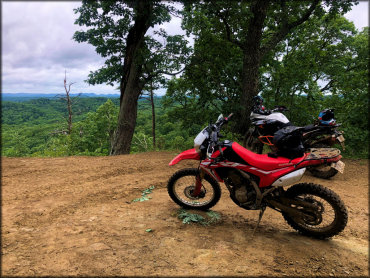 Honda CRF motorcycle parked on trail with scenic background.