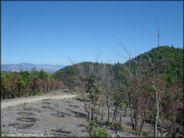 Scenery at John's Peak OHV Area Trail