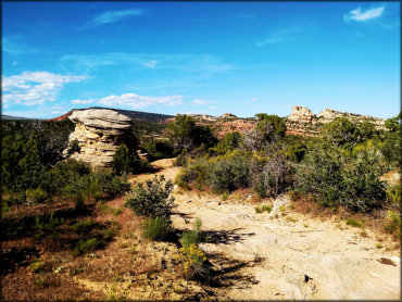 Doc's Beach Trail