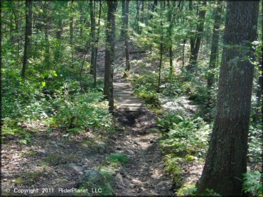 Wrentham Trails