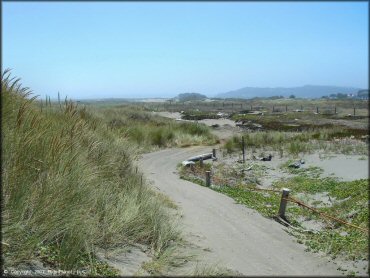 Terrain example at Samoa Sand Dunes OHV Area