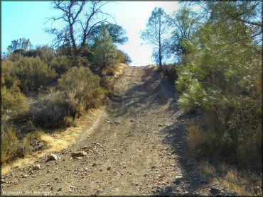 A trail at Frank Raines OHV Park Trail
