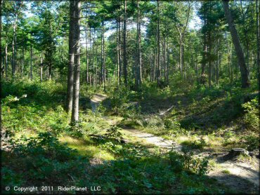A trail at Hodges Village Dam Trail