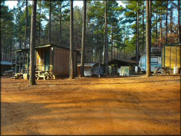 Cabin and RV rentals with picnic tables surrounded by tall pine trees.