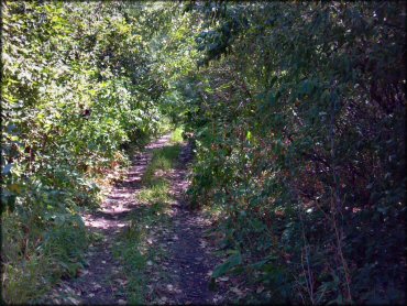 Terrain example at Council Grove Lake ORV Area Trail