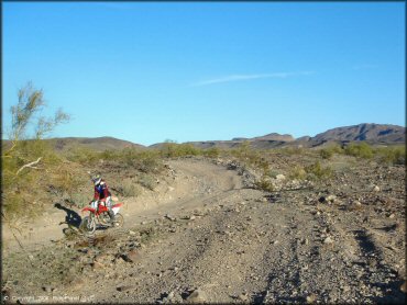 Honda CRF Trail Bike at Shea Pit and Osborne Wash Area Trail