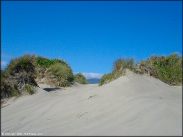 A trail at Sand Lake Dune Area