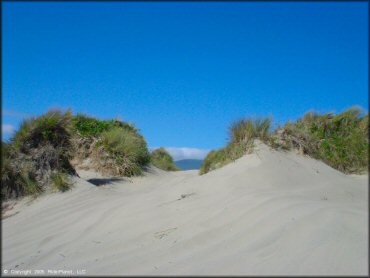 Sand Lake Dune Area