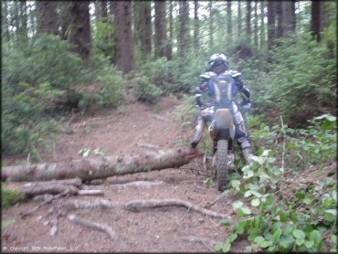 OHV at Winchester Trails