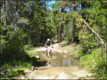 Honda CRF Trail Bike traversing the water at Lower Blue Lake Trail