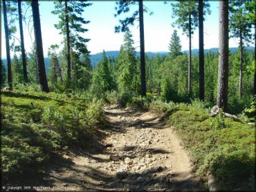 A trail at Interface Recreation Trails