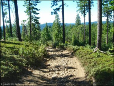 Some terrain at Interface Recreation Trails