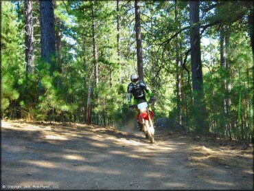 Honda CRF Motorcycle at Gold Note Trails