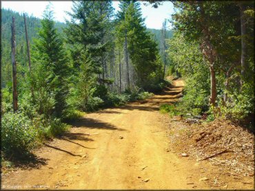 Terrain example at Rattlesnake Ridge Area Trail