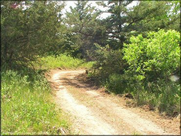 Cedar Run ATV Trail
