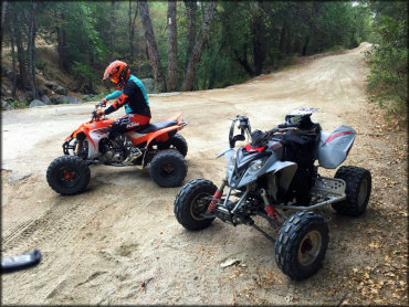 Bee Canyon Truck Trail