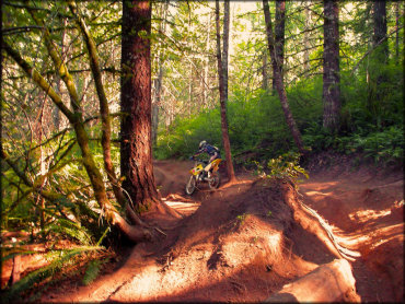 Young woman with Suzuki RM100 navigating some deep ruts.