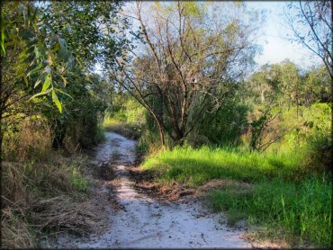 Peace River Campground Trail