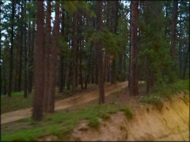 A wooded section of trail for ATVs, UTVs and motorcycles.