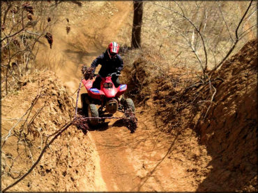 School Creek ORV Area Trail