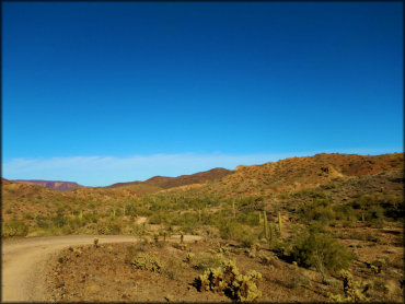 A wide angle view of the desert hills, cacti, and other desert vegetation.