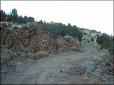 Lousetown Road Trail