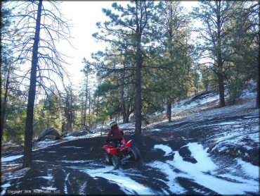 Rider on Red Honda TRX 250EX going through snow covered ATV trail surrounded by pine trees.