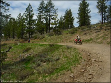 Honda CRF Dirtbike at Verdi Peak OHV Trail