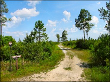 Mallory Swamp ATV Trail