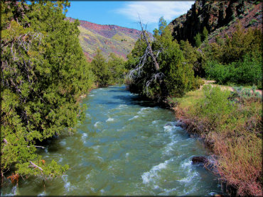 View of East Fork Jarbidge River taken from the road.