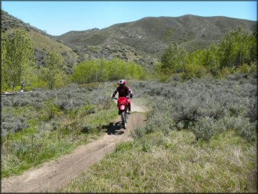 Young man on Honda CRF dirt bike navigatting ATV trail.