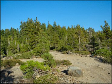 A trail at Black Springs OHV Network Trail