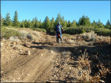 Honda CRF Trail Bike at Billy Hill OHV Route Trail