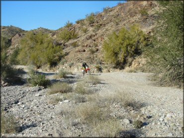 Swansea Townsite Trail