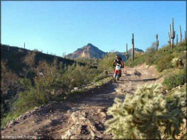 Honda CRF Dirtbike at Bulldog Canyon OHV Area Trail