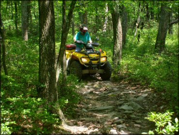 Sideling Hill Trail