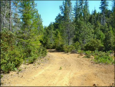 A trail at Rattlesnake Ridge Area Trail