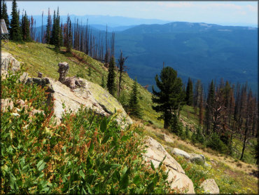 Elk City Wagon Road Trail