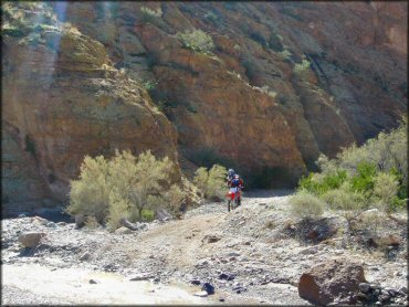 Honda dirt bike going through rocky 4x4 trail.