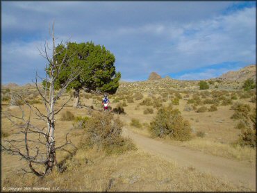 Honda CRF Dirtbike at Fort Sage OHV Area Trail