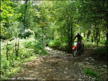 Honda CRF Dirt Bike at Tall Pines ATV Park Trail