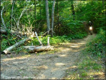 OHV at Freetown-Fall River State Forest Trail