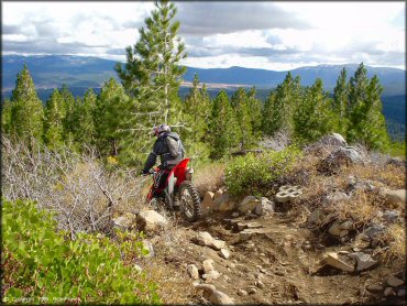 Honda CRF Trail Bike at Prosser Hill OHV Area Trail